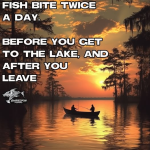 1737344787888.png