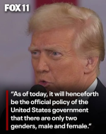 1737427960608.png