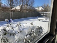 BA2D11A2-2603-4724-9278-4DBF4D3874F6.jpeg