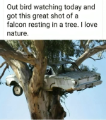 1737915867073.png