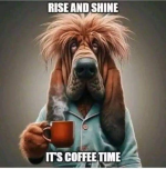 1738073508874.png