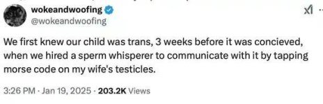 1738261117798.jpeg