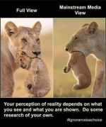 1738462129008.png