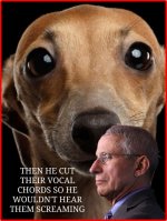 fauci3.jpg