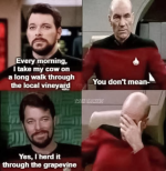1738890486073.png