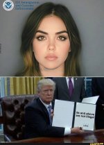 illegalshawt.jpg