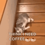 1739191120406.gif