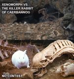 xenomorph-vs-killer-rabbit-caerbannog-no-contest.jpg