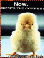 1740050441557.gif