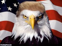 trumpeagle.jpg trumpeagle.jpg
