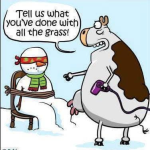 1740342556666.png