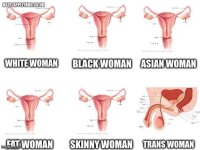 tranny34.jpg