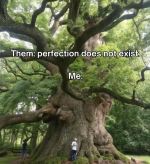 them-perfection-does-not-exist.png
