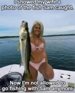 1741469437755.png