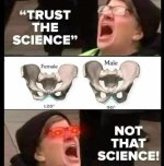 tranny22.jpg