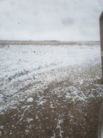 20250316_075618.jpg
