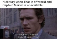 nick-fury-thor-is-off-world-and-captain-marvel-is-unavailable-ho-have-nothing-left-except-spid...jpg