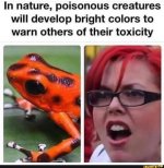 1742901923541.jpeg