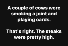 1743036448549.png