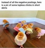 1743070511827.jpeg
