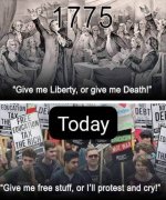 1743393115153.jpeg