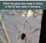 1743597556793.jpeg