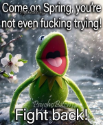 1744295314893.png