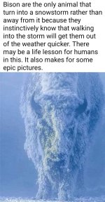 1744877878788.jpeg