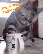 1744973377126.gif
