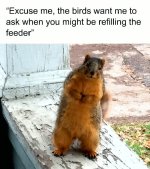 FB_IMG_1744950683112.jpg