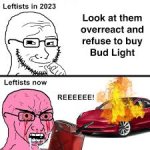 1745404466034.jpeg