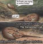 dinosaur-memes-25-20240216.jpg