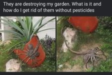 7410812D-4BD9-4041-B0B7-025A13B06AE1.jpeg