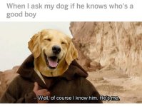 4811109E-E0C2-4D04-9C53-82D5F1A00418.jpeg