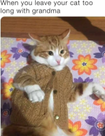 Screenshot_20250429-181804.png