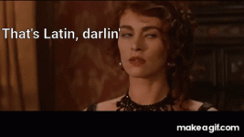 1745990063354.gif