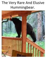 FB_IMG_1745890741040.jpg