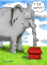1746201419041.png