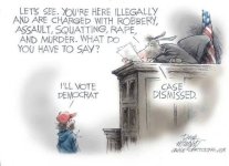 illegalsDems.jpg