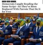 1747778073261.jpeg