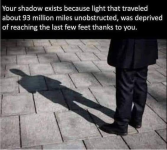 1747789853325.png