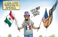 IllegalMexicans2.jpg