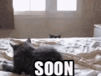 1749439893906.gif