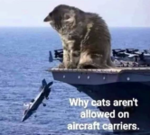1750016177642.png