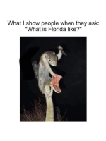 1750299548059.png