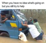 have-no-idea-s-going-on-but-still-try-help-orect-flecion.jpg