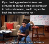 would-they-evolve-back-into-tyrannosaurus-rex-n-dont-need-sleep-need-answers-made-with-mematic.png