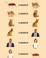 1750895471734.png
