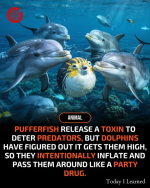 1750983094102.png