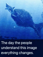 1750989314837.png